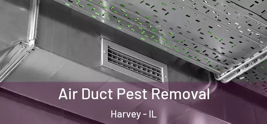  Air Duct Pest Removal Harvey - IL
