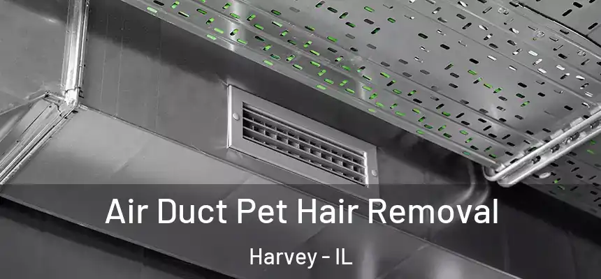  Air Duct Pet Hair Removal Harvey - IL