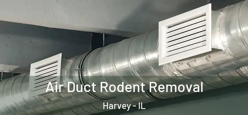  Air Duct Rodent Removal Harvey - IL