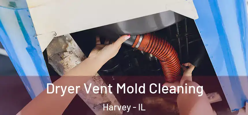  Dryer Vent Mold Cleaning Harvey - IL