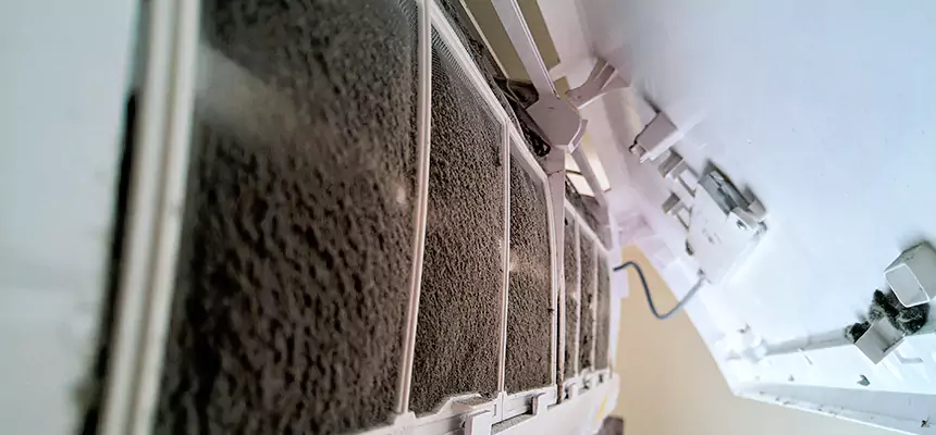 Preventive Air Duct Bacteria Removal in Harvey