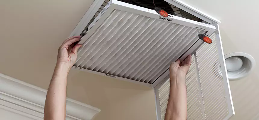 Preventive Cockroach-Proofing for Ducts in Harvey