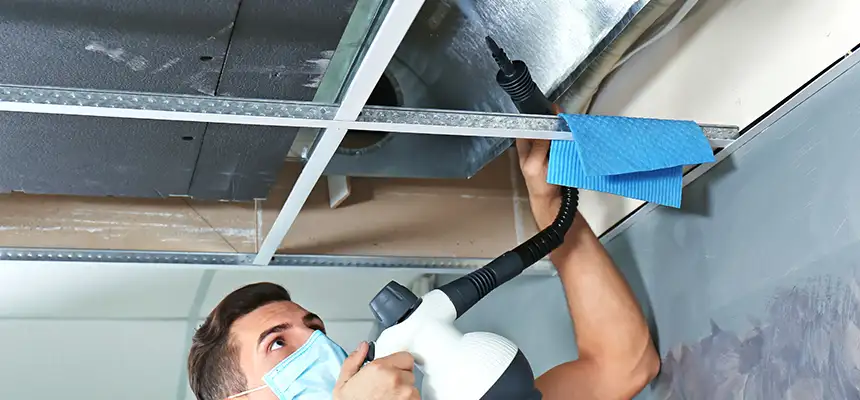 Our Air Duct Rodent Removal Services in Harvey, IL