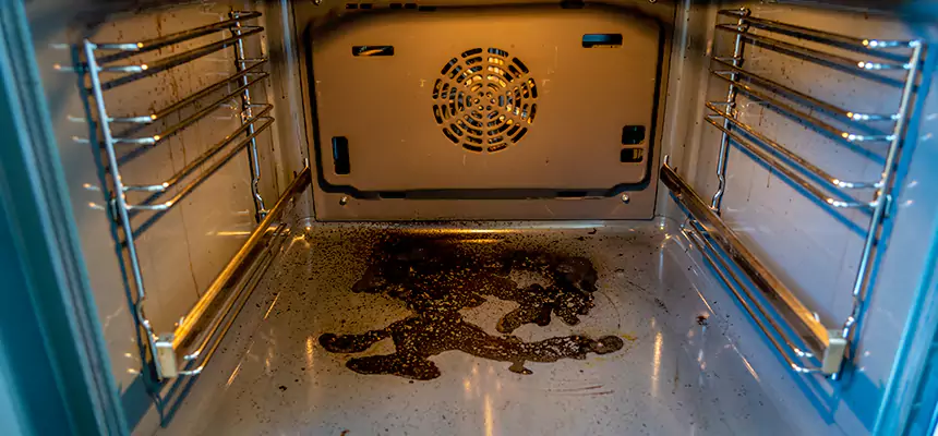 Our Dryer Vent Mold Cleaning Services in Harvey, IL