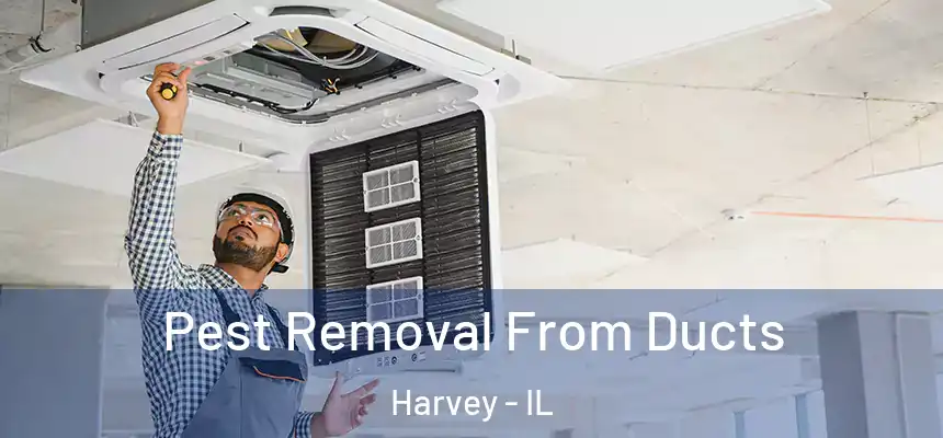 Pest Removal From Ducts Harvey - IL