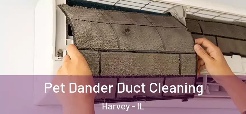 Pet Dander Duct Cleaning Harvey - IL