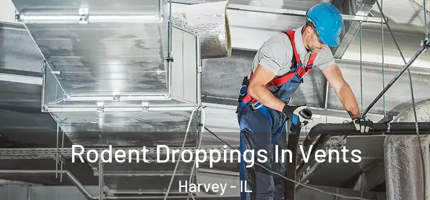  Rodent Droppings In Vents Harvey - IL
