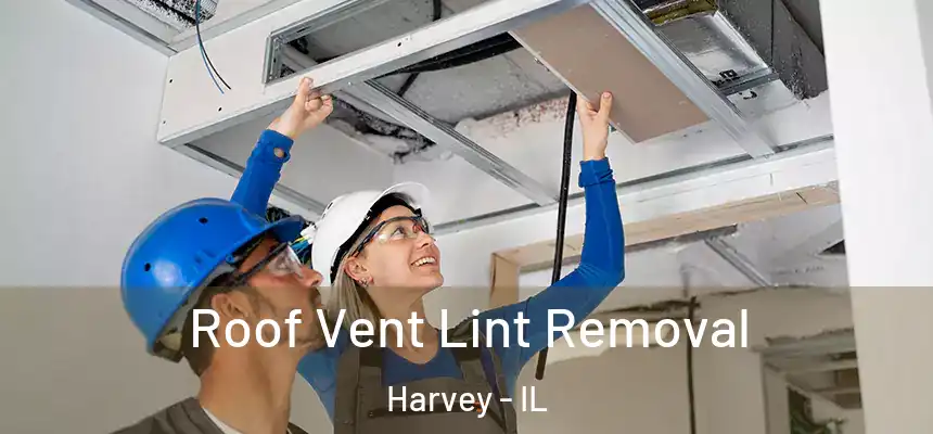  Roof Vent Lint Removal Harvey - IL
