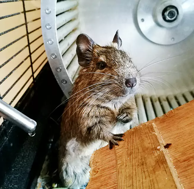 Why Homeowners & Businesses Trust Us Harvey, IL