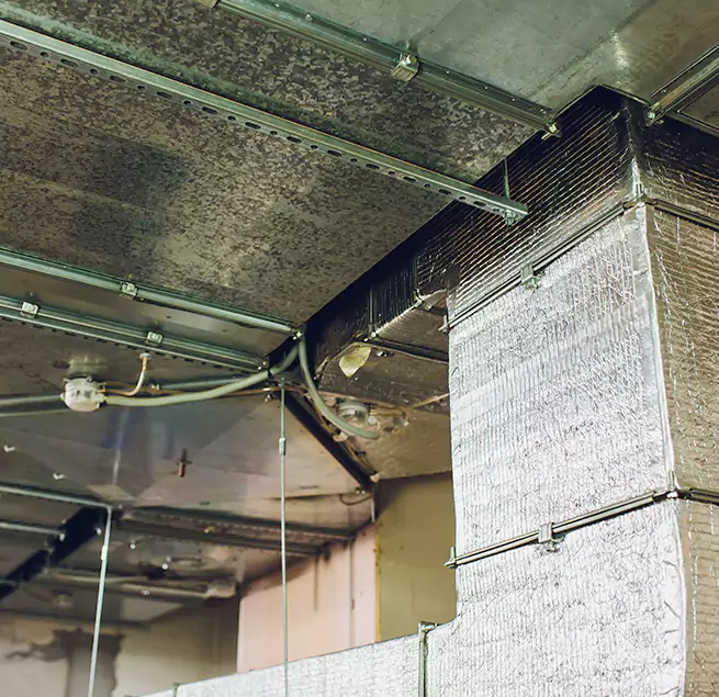 Why Homeowners & Businesses Trust Us in Harvey, IL?